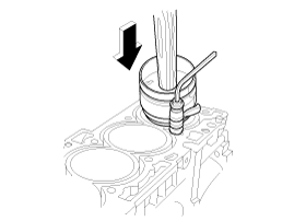syfem0131n.gif